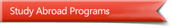 Study Abroad Program in the US